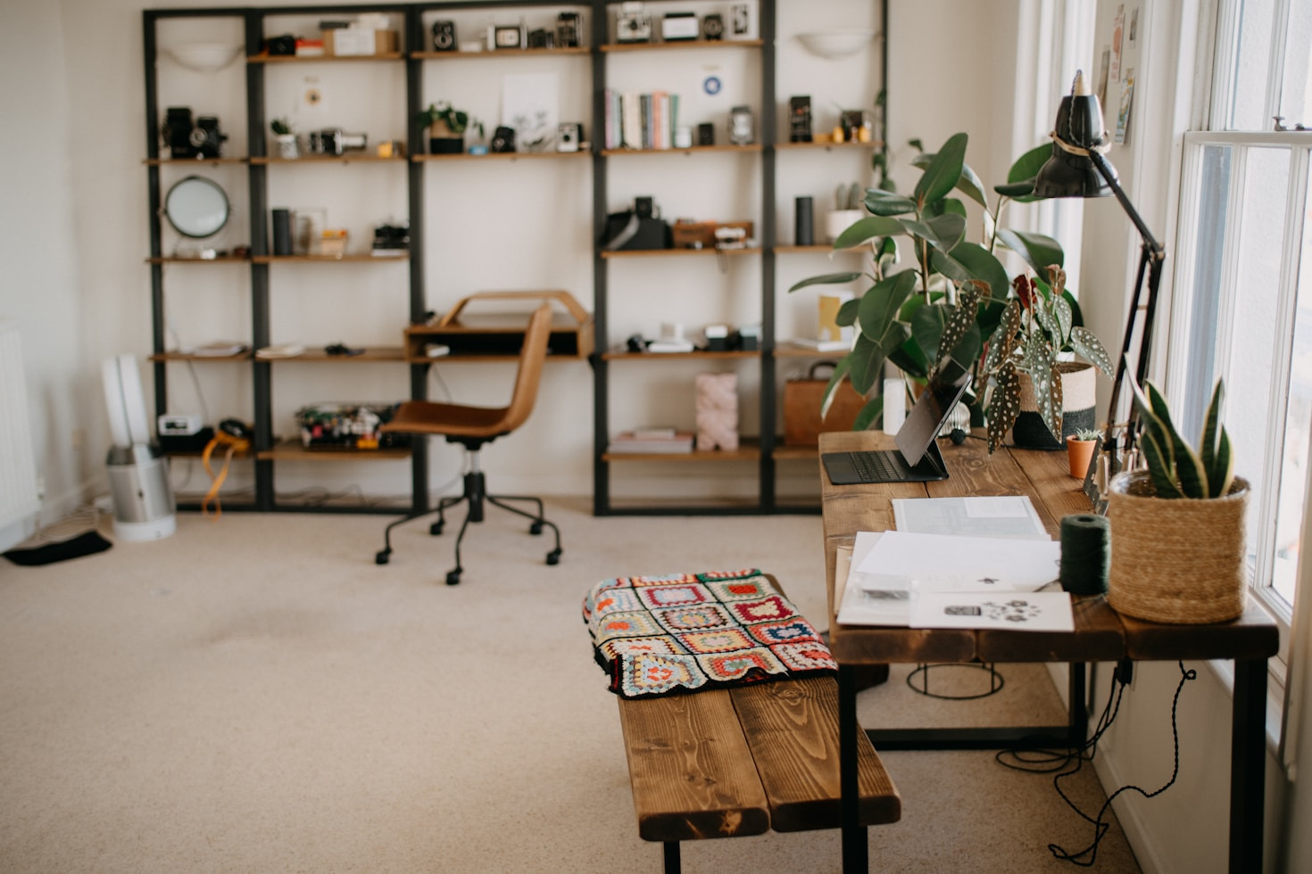 How To Stay Curious Every Day